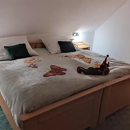 Prázdninový dům Holiday Home Moldava