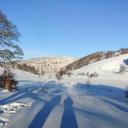 Holiday Home Moldava *