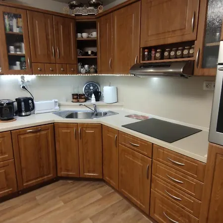 Holiday Home Moldava