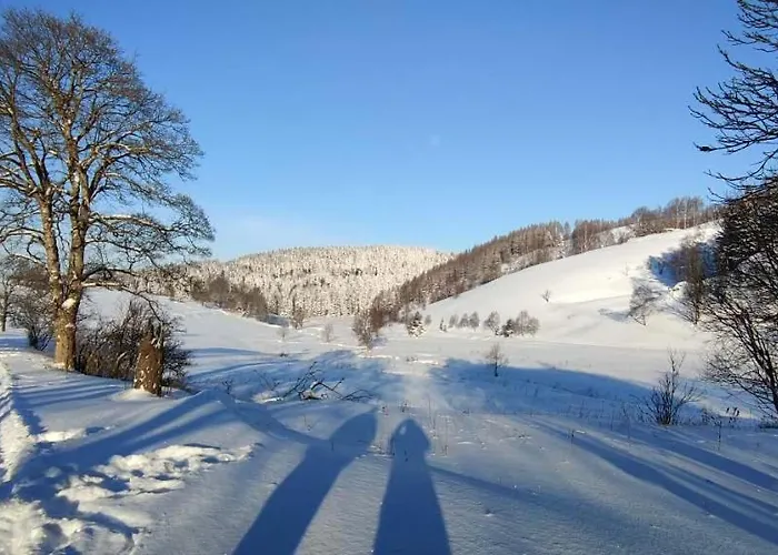 Holiday Home Moldava *